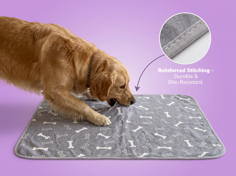 Shelter-grade durability