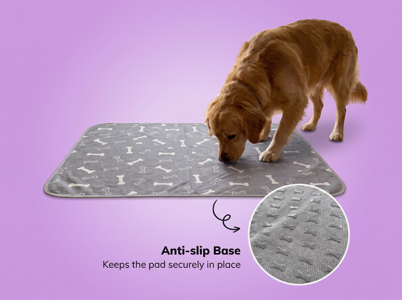 Non-slip base