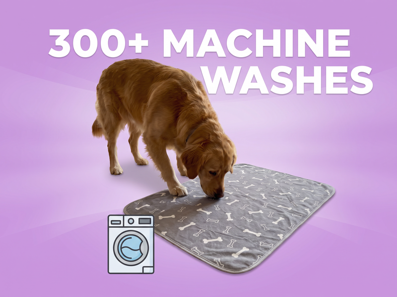300+ machine washes