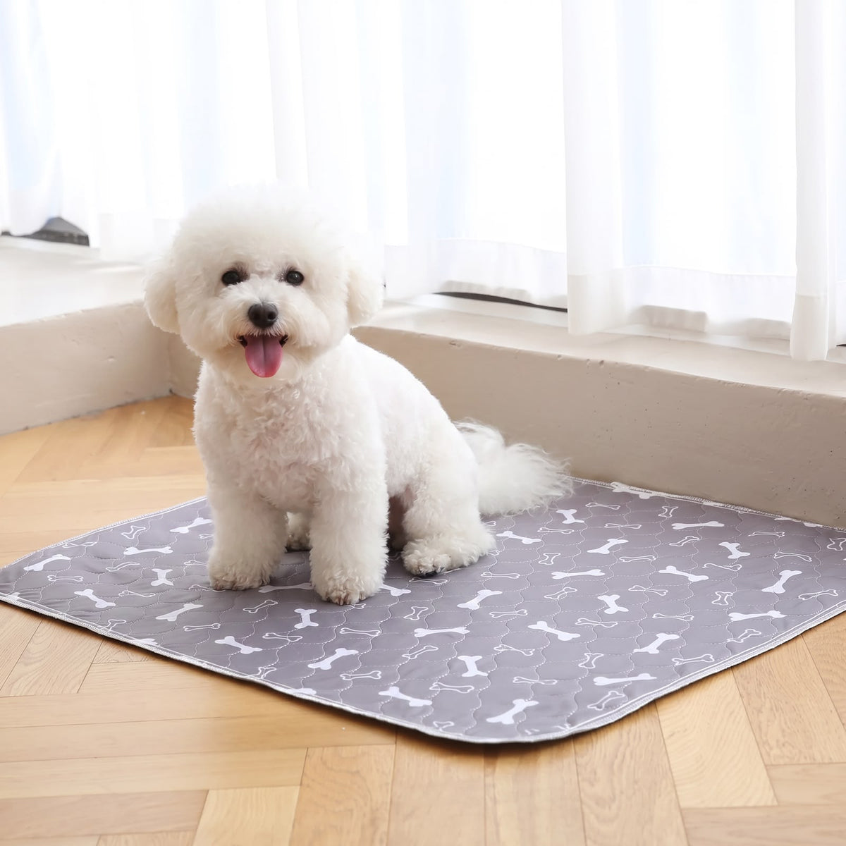 Pawburry Pup Pad
